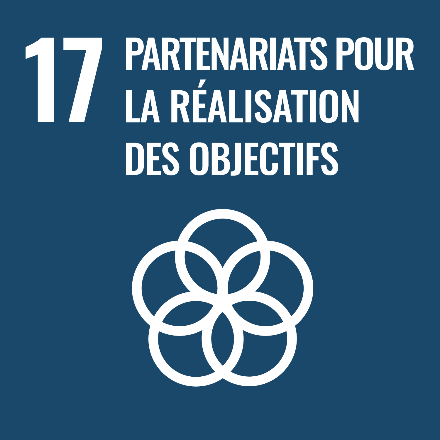 17. Partenariats pour la réalisation des objectifs